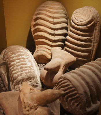 Roman votives displayed in the Naples Museum. Photo: Rachel Aucott.