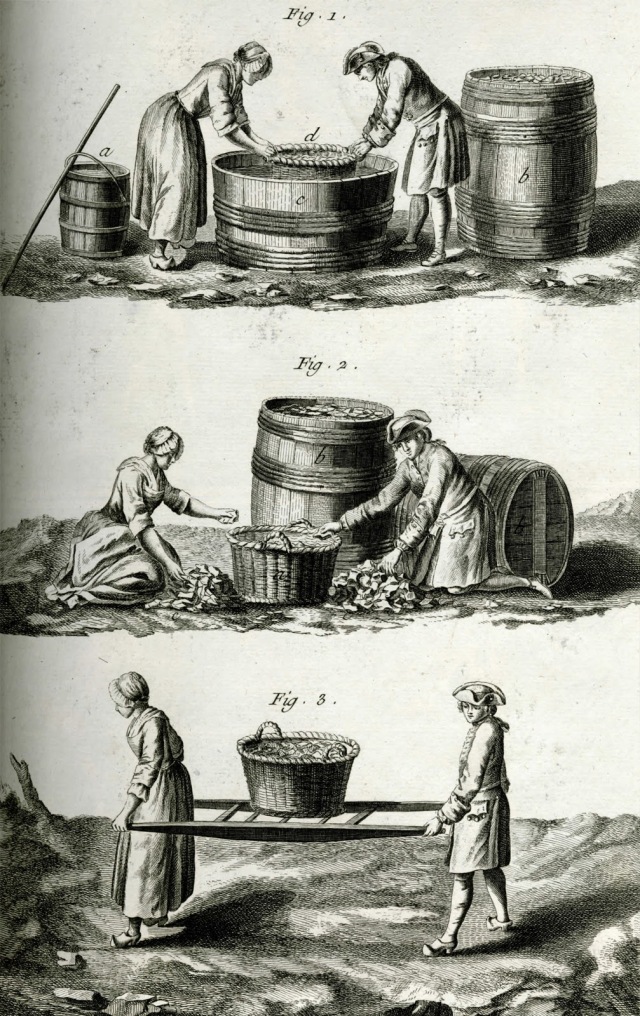 Washing, sorting and carrying cullet Denis Diderot 1772